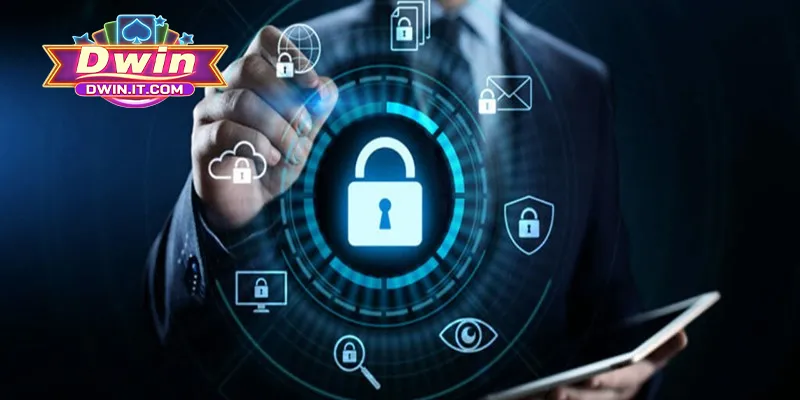 Những dữ liệu mà nhà cái DWIN thu thập