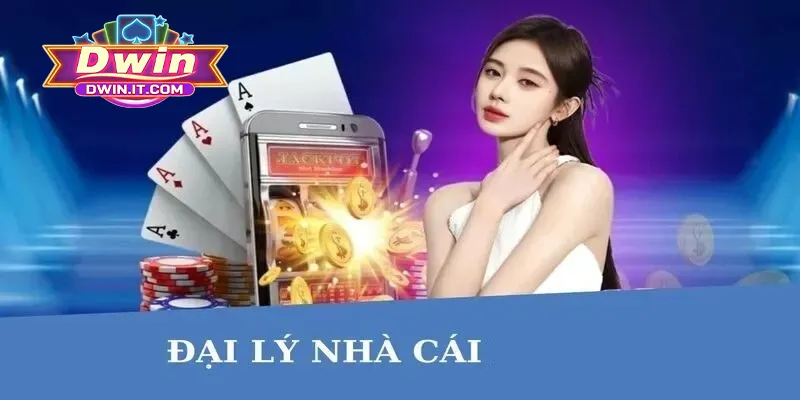 Thông tin cơ bản hội viên cần biết về đại lý DWIN