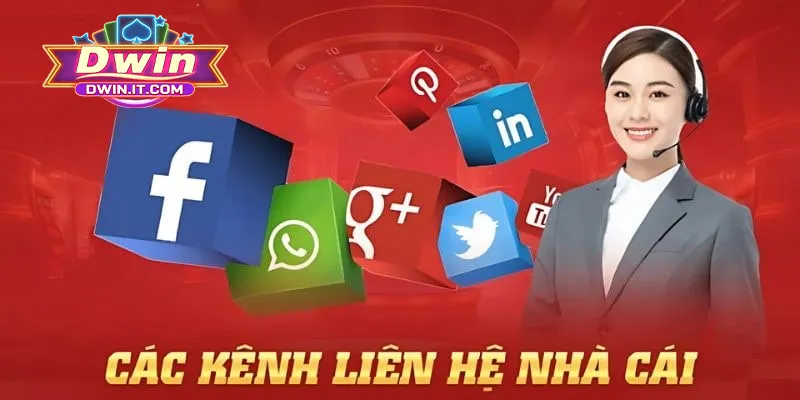 Các cách liên hệ phổ biến được hội viên DWIN ưa chuộng